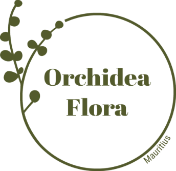 Orchidea Flora Ltd